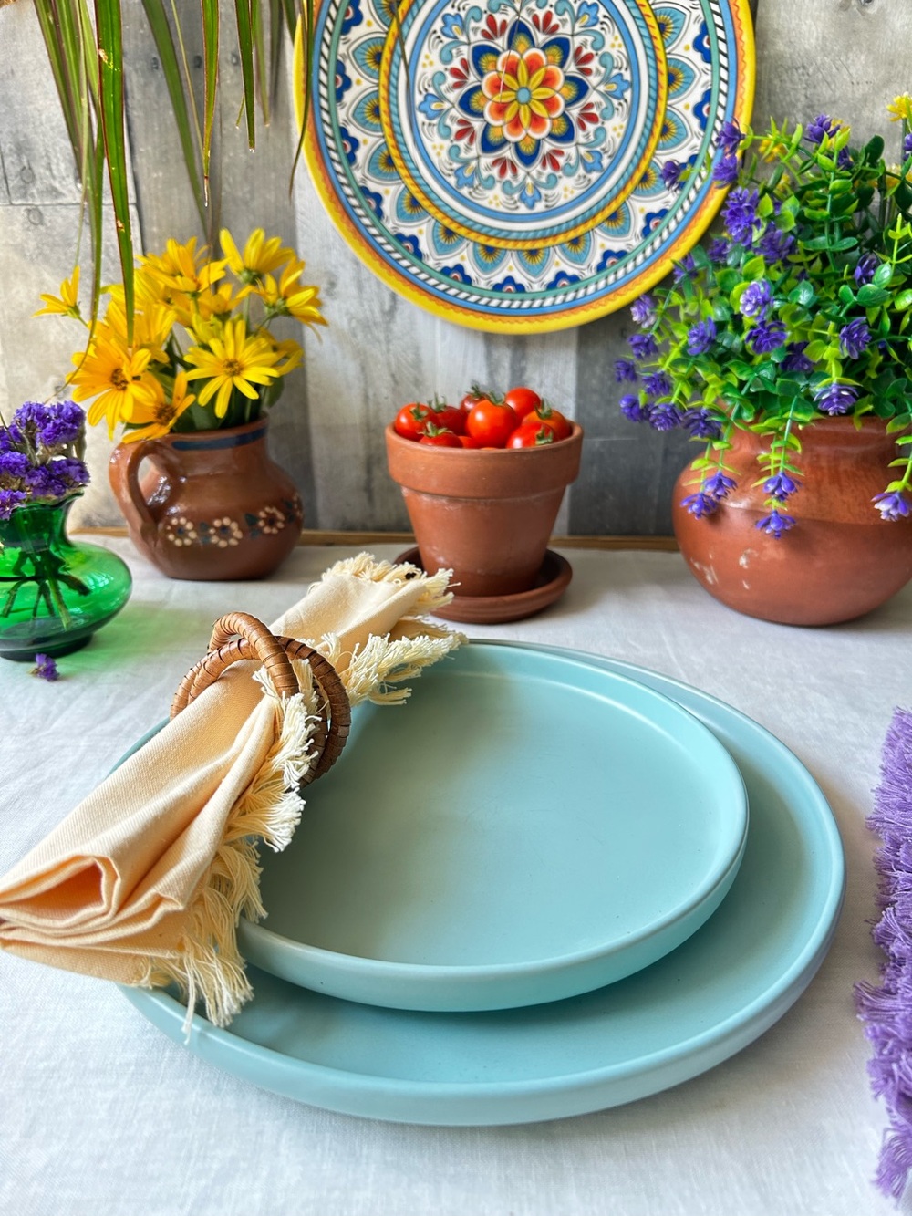 🌴Colorful Turquoise Semi-Matte Dinnerware Set of Two Plates